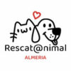 Reunión Almeriense Tutela Animal "La rata"